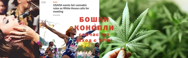 кокс Касимов