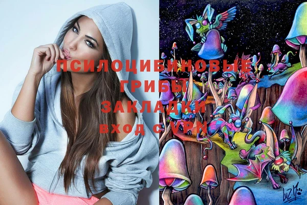 кокс Касимов