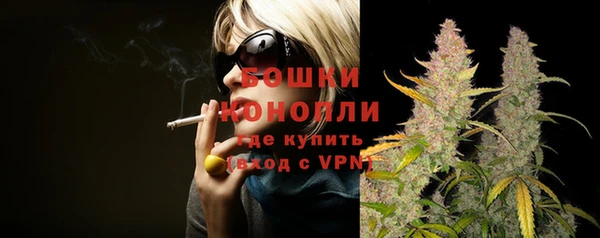 кокс Касимов