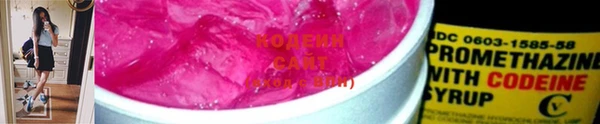 круглые Карпинск