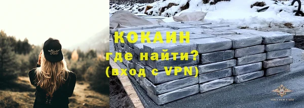 кокс Касимов