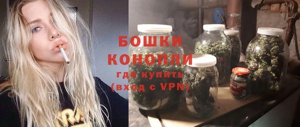 кокс Касимов