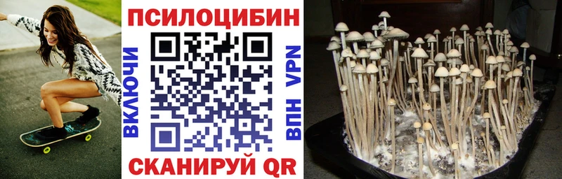 Галлюциногенные грибы MAGIC MUSHROOMS  Купить где  Зверево 